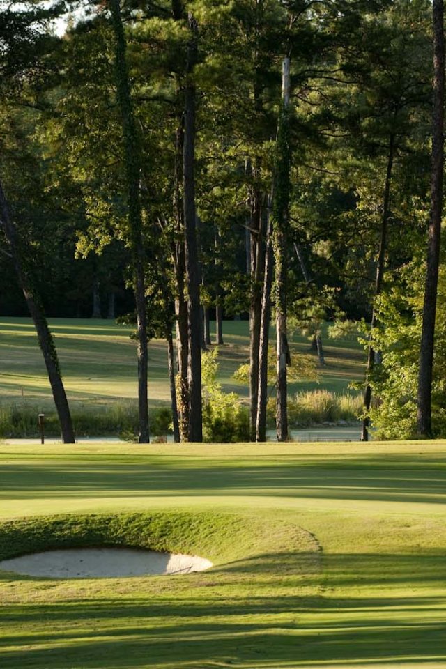 A lush green golf course with a sand trap lined by trees