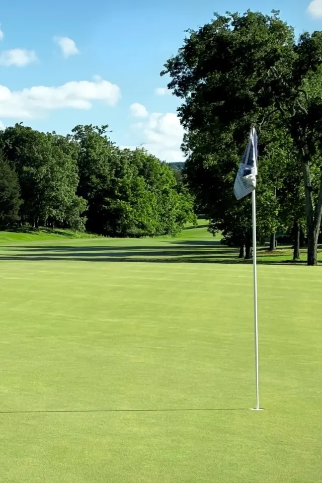 A hole on a golf course with a white flag surrounded by trees