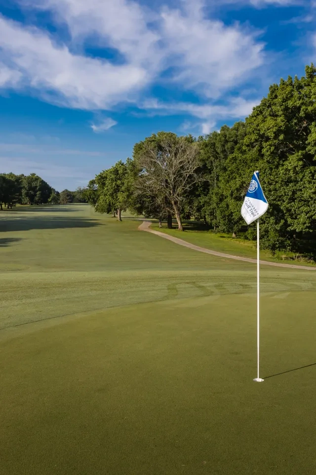 A golf course hole with a flag surrounded by lush green trees