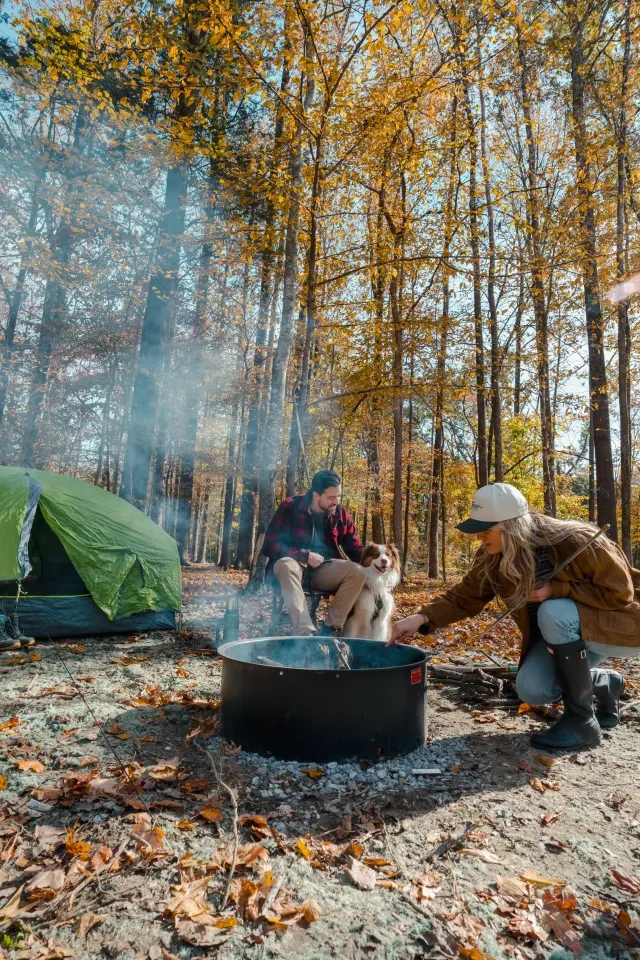 Two people and a dog by a campfire in a forest during autumn.