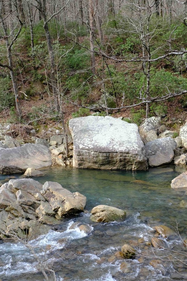 Rushing stream with large rocks and bare trees in a forest.