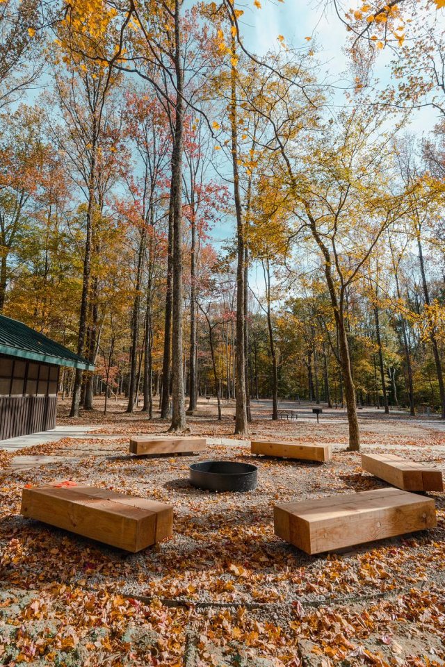Benches surrounding a fire pit in a wooded area with autumn leaves.