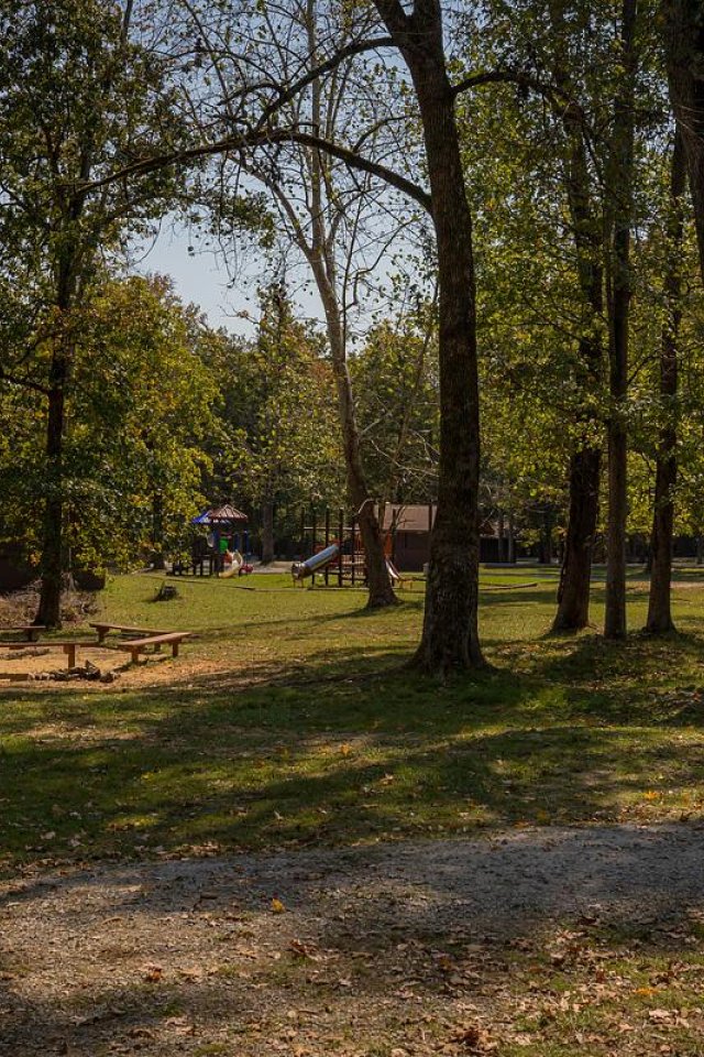 Forest clearing with trees and a play area, sunny day.