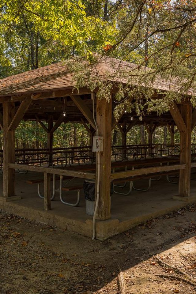 Wooden picnic pavilion in a forested area with sunlit trees.