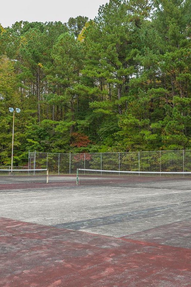 An empty, weathered tennis court surrounded by trees.