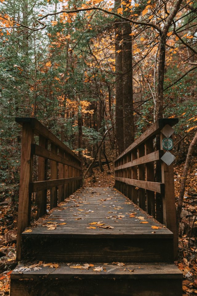 foot bridge