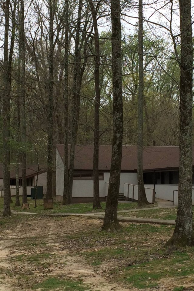 Brown-roofed building surrounded by tall trees in a forest setting.