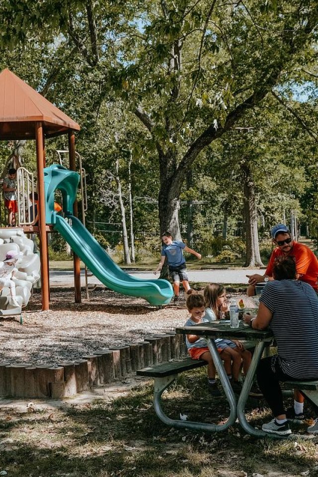 Playground with slides, picnic table with people, surrounded by trees.