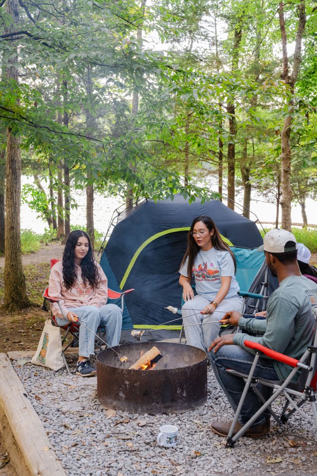 Group camping by a fire pit with a tent in a forest setting.