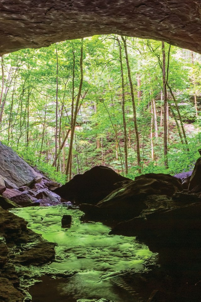 View from inside a large cave opening looking out onto a lush green forest, with rocks and a shallow stream in the foreground and sunlight illuminating the trees beyond.