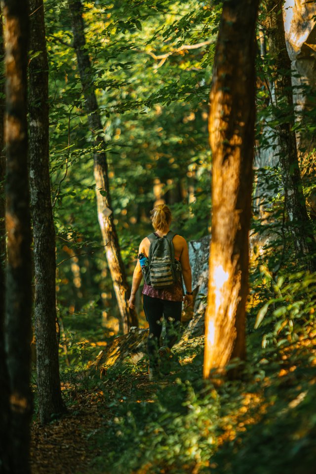 Person hiking along a sunlit forest trail with a backpack.
