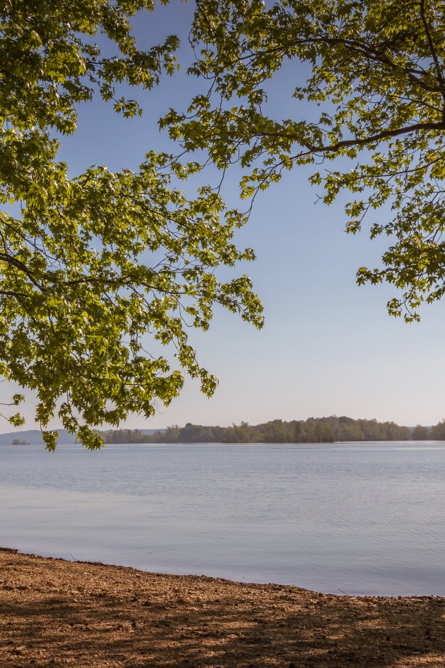 Calm lake shore framed by trees under a clear blue sky.