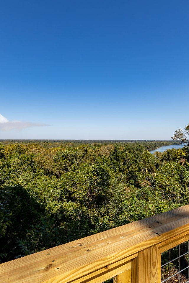 Wooden railing overlooking lush green forest under clear blue sky.
