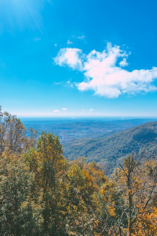 Expansive mountain view with autumn trees under a bright blue sky.