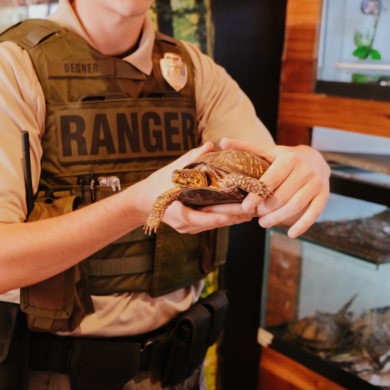 Ranger wearing vest holding a turtle at T O Fuller Park