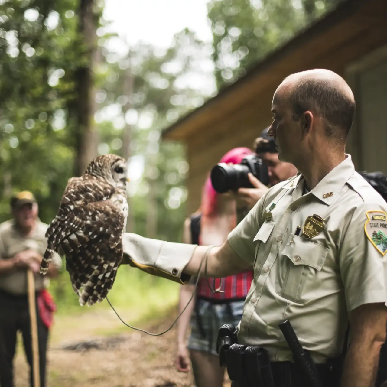 Park ranger holding an owl on gloved hand, people observing.