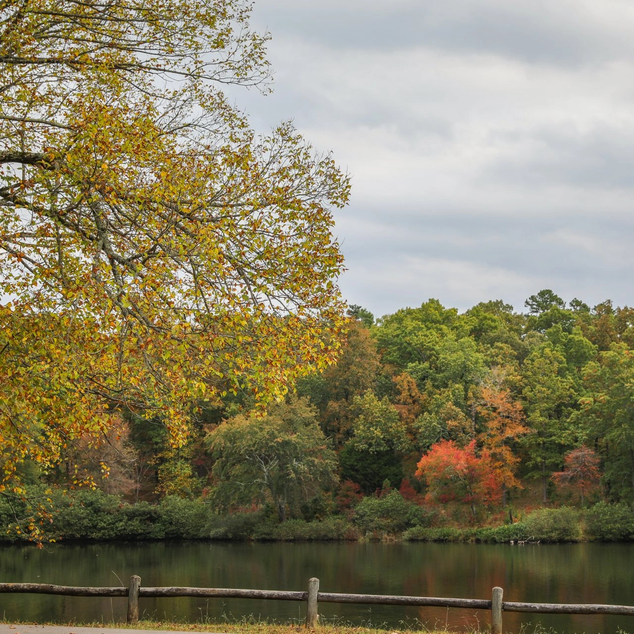 Autumn trees by a calm lake under a cloudy sky.