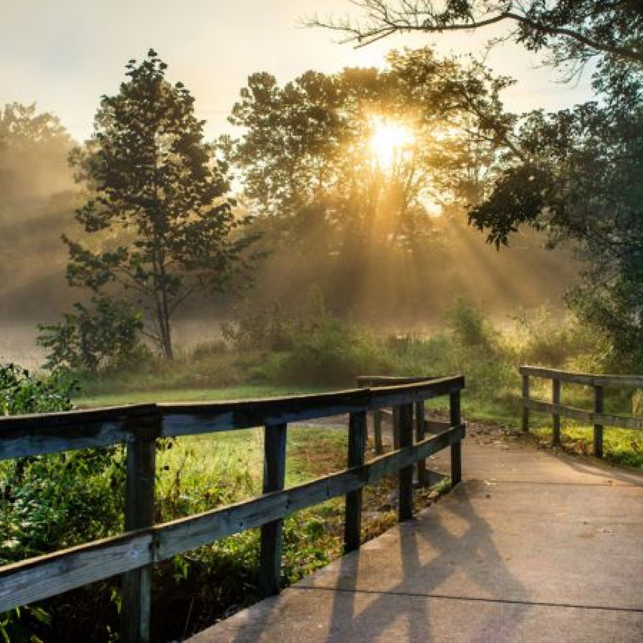 Sunlight filters through trees, illuminating a wooden bridge over a path, surrounded by lush greenery. The scene evokes a peaceful, serene morning ambiance.