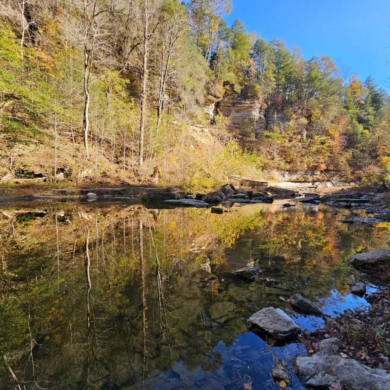 Serene forest reflected in a calm river under a clear blue sky.