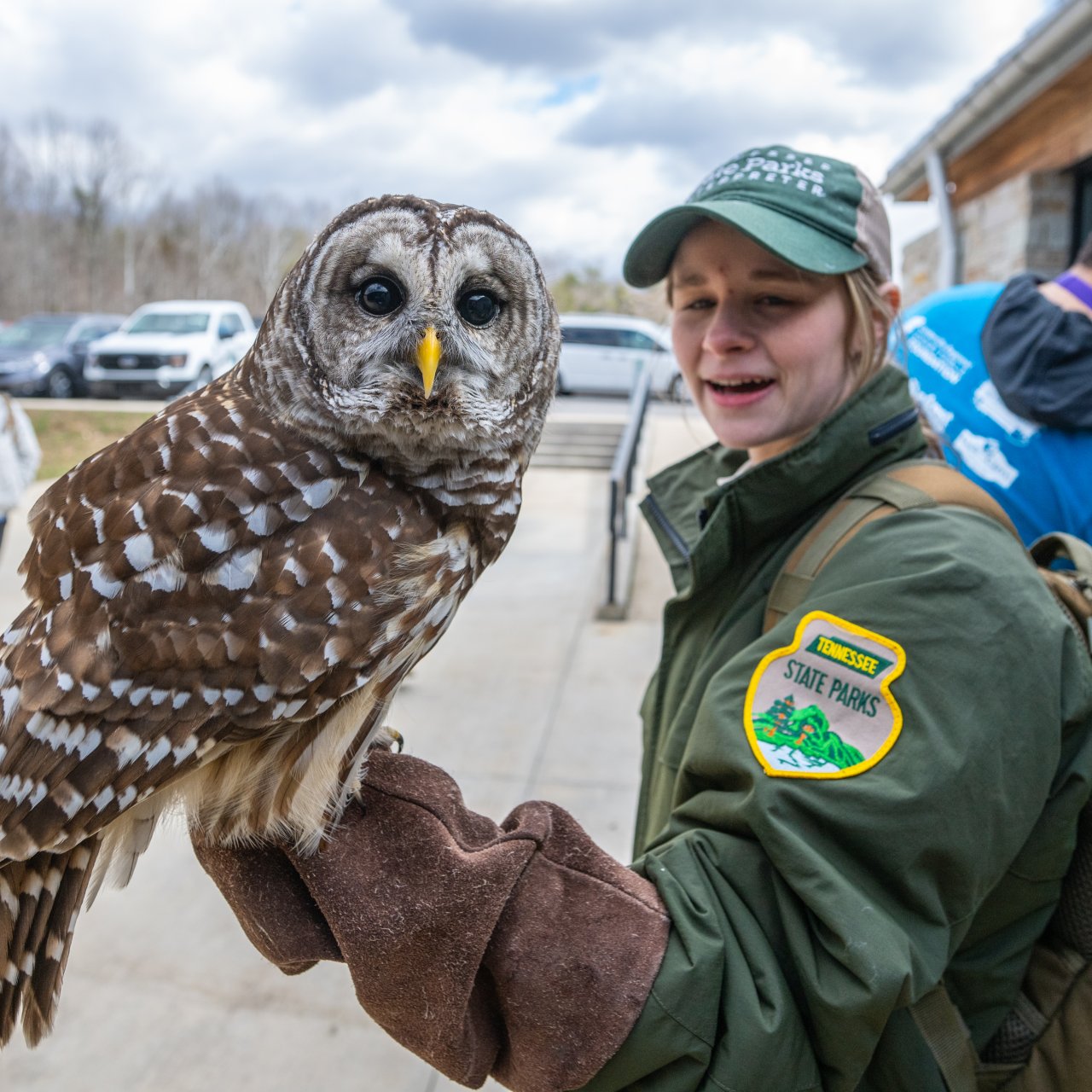 Owl sitting on a rangers hand while looking at the camera