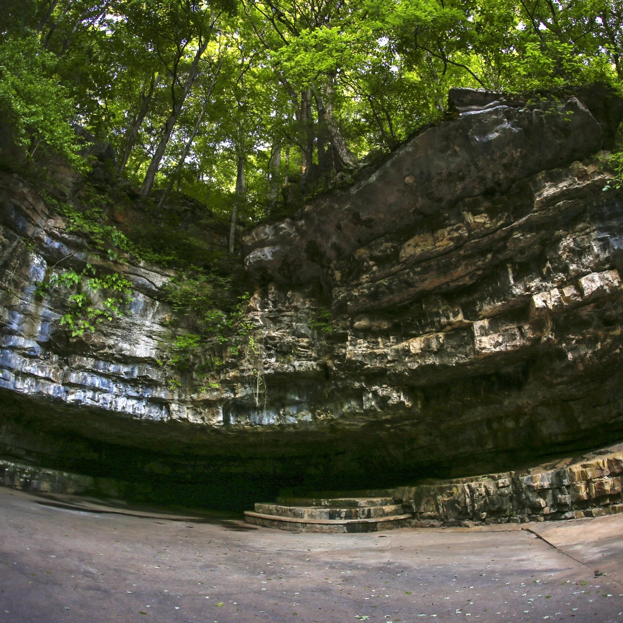 Rocky cave with a tree-lined top, overcast lighting.
