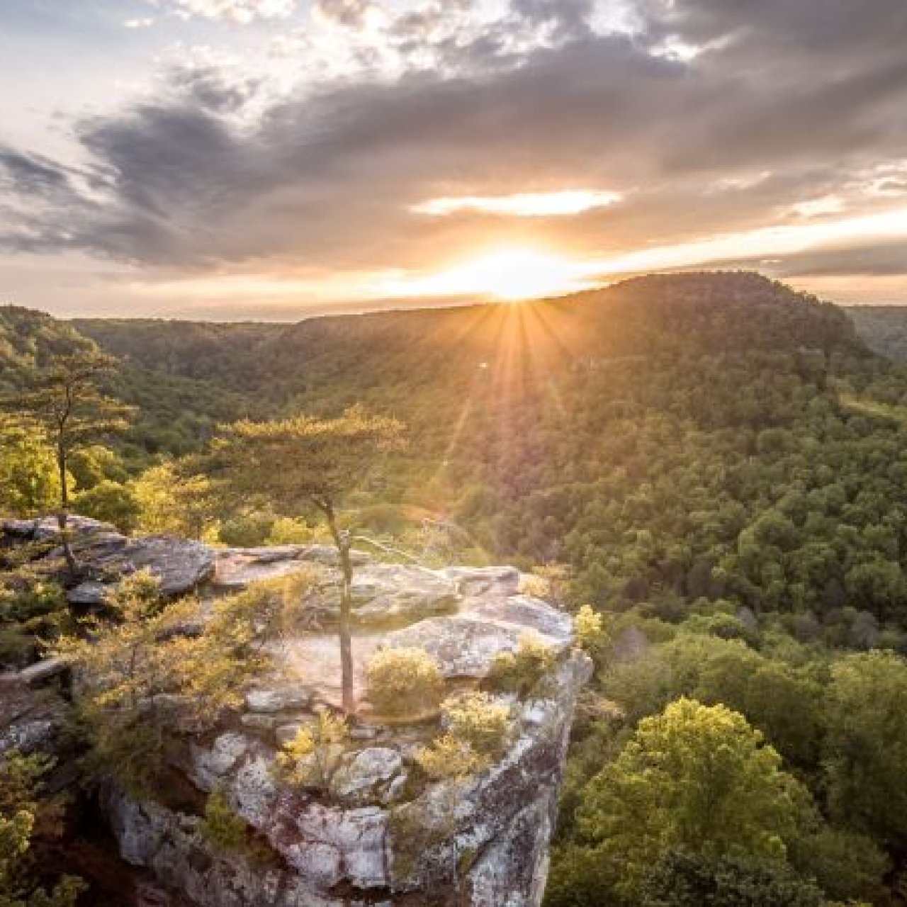 Sunset over a lush green forest viewed from a rocky cliff. The warm glow casts long shadows, creating a serene and majestic landscape.