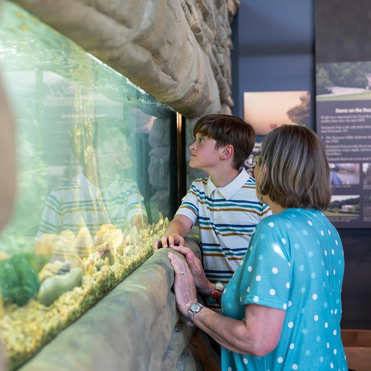 Child and older woman closely observing fish in a large glass tank at Henry Horton State Park visitor center.
