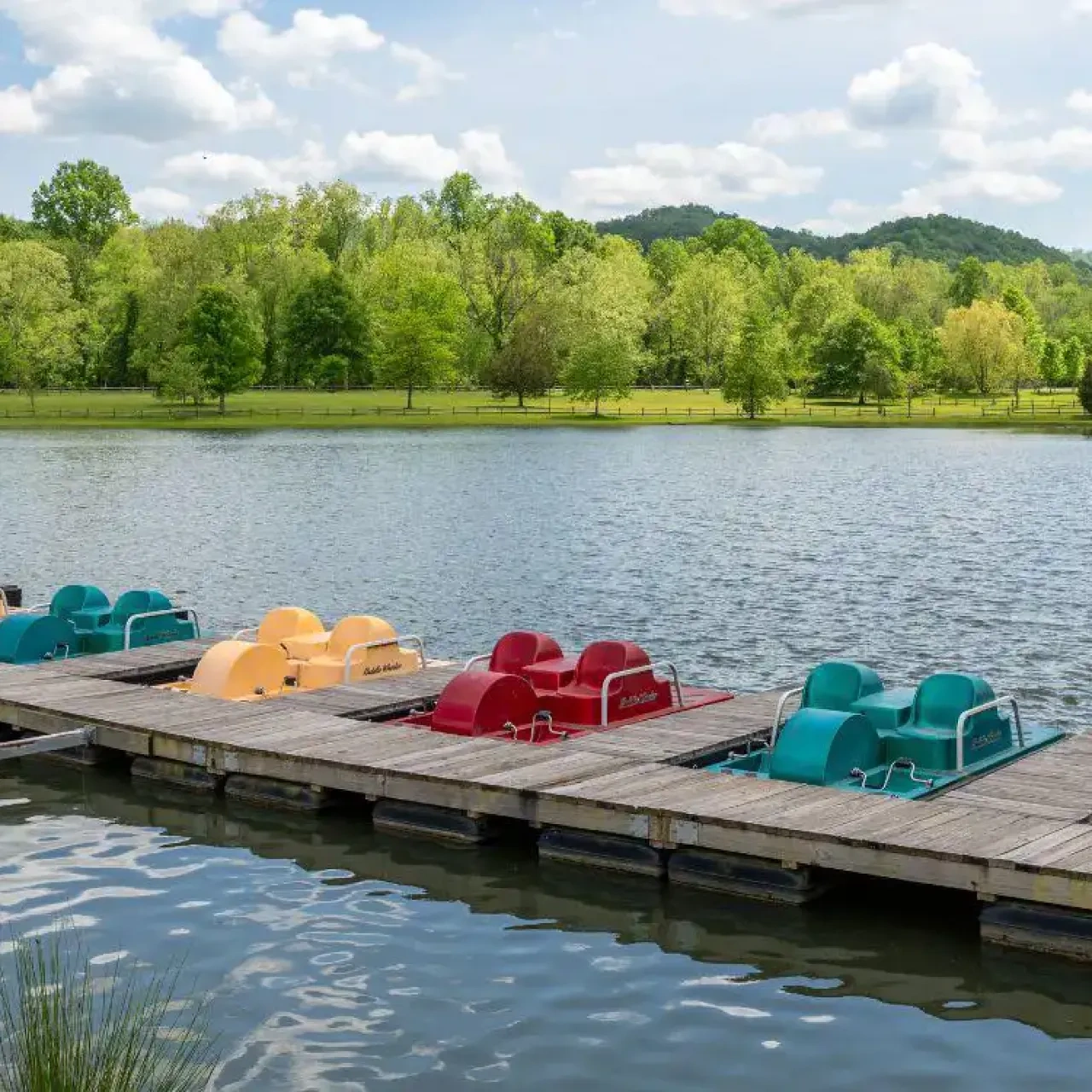 Colorful pedal boats docked by a calm lake with a green forest backdrop.