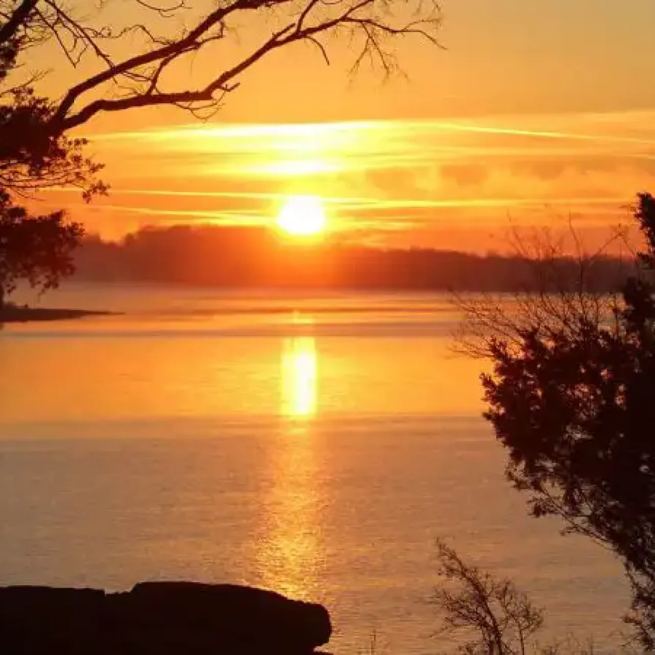 Sunset over a tranquil lake, trees silhouetted in foreground.