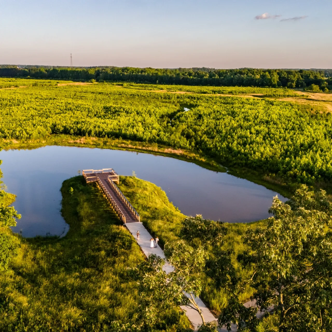Aerial view of a pond with a wooden dock extending into it, surrounded by vibrant green fields and trees at sunset.