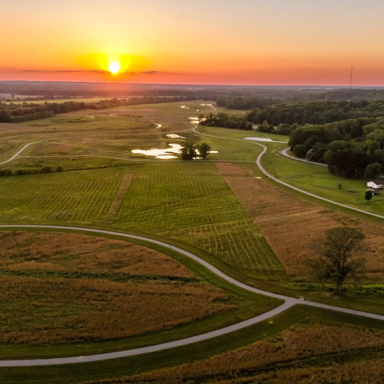 Aerial view of a serene landscape at sunset. A winding road cuts through vast fields and meadows, with a forest and glowing horizon in the background. Peaceful atmosphere.