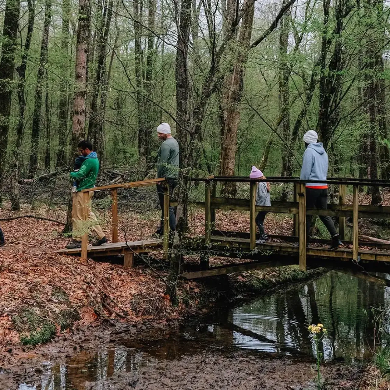 A group of people, including children and adults, walk across a small wooden bridge in a forested area with fresh green spring leaves and a shallow stream below.