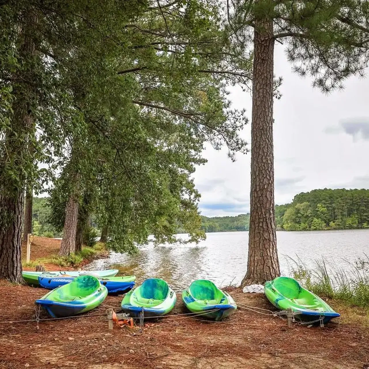 Two kayaks pulled up on the grassy shore near the lake.