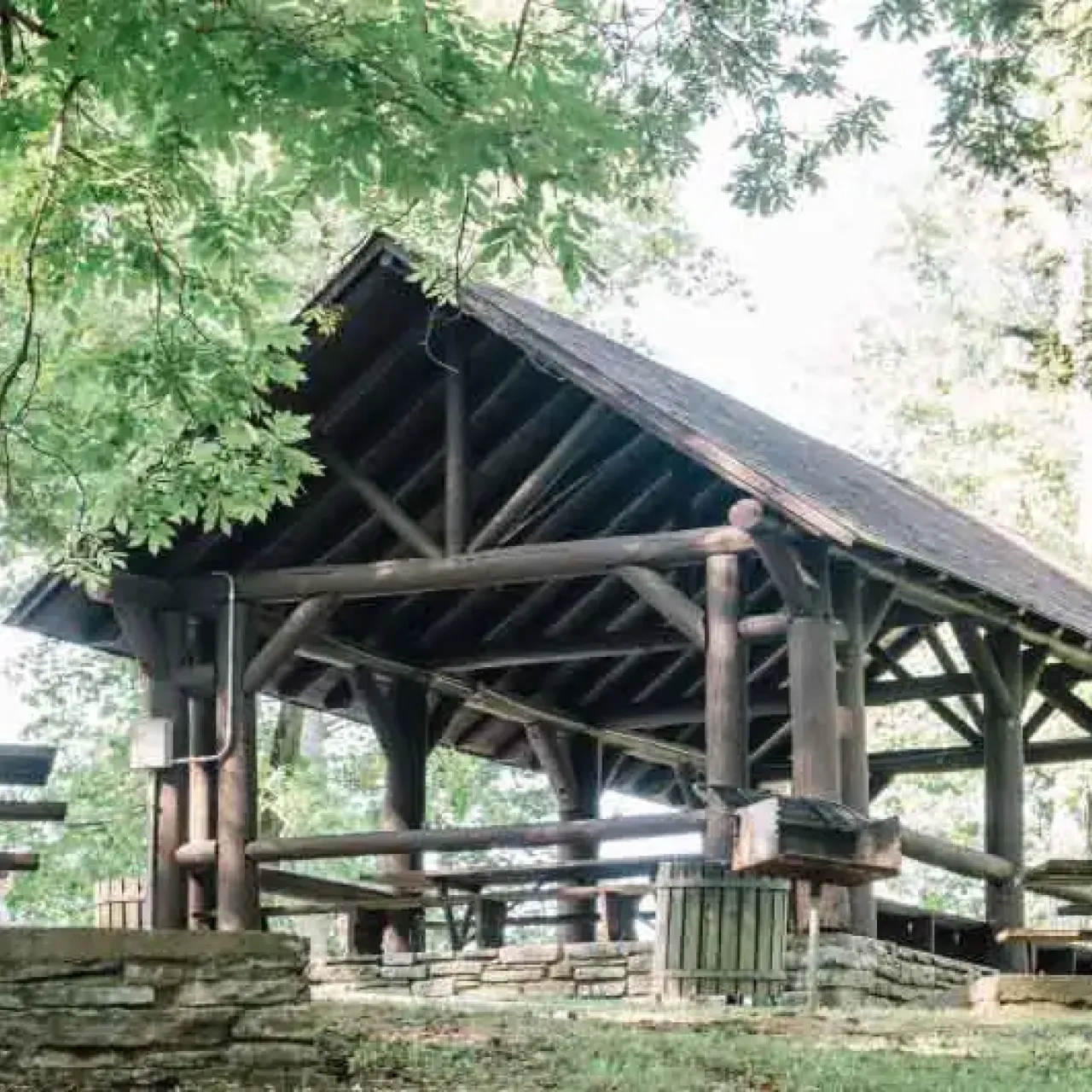 Wooden shelter in a sunny forest clearing.