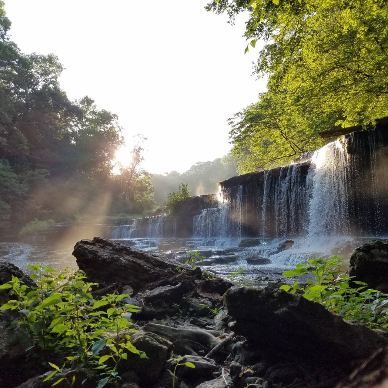 Waterfall in a lush forest with sunlight filtering through trees.