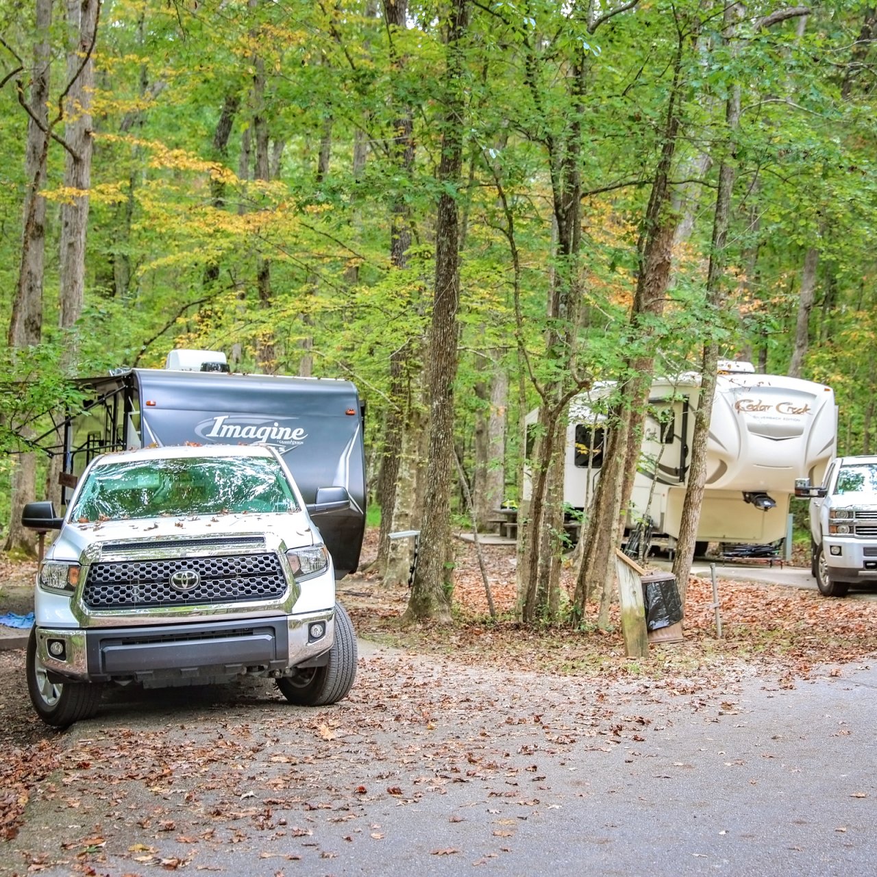 Two RVs parked in a wooded campground, surrounded by tall green trees. A silver truck is in front, creating a relaxed outdoor atmosphere.