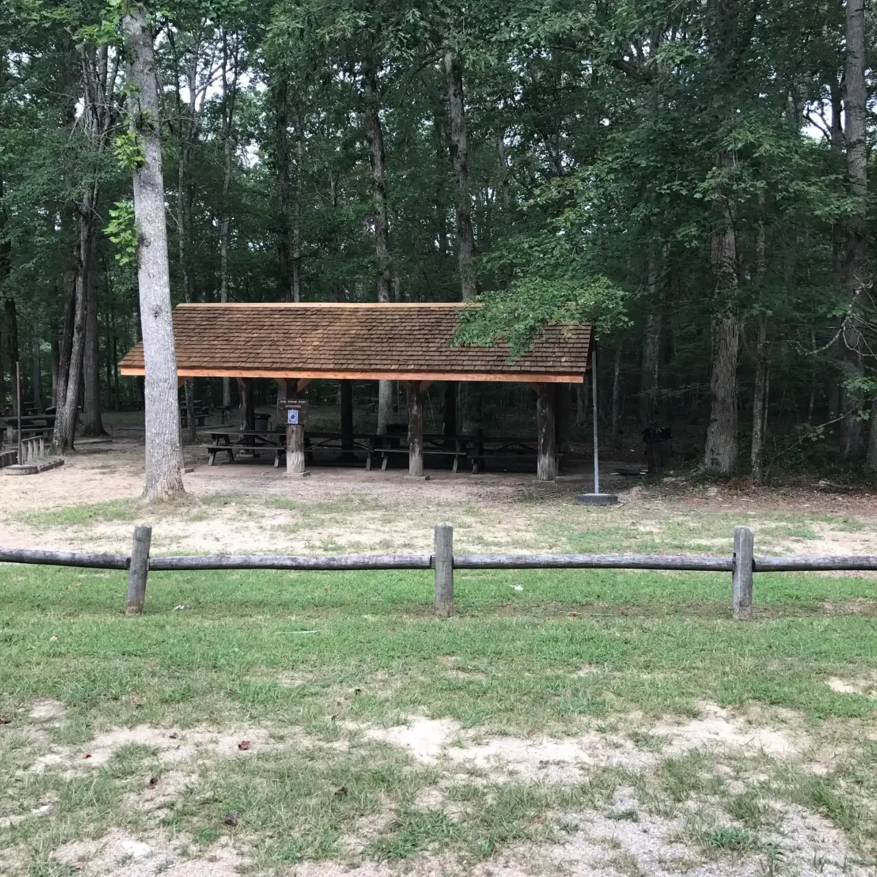 Forest pavilion with picnic tables, surrounded by trees and grass.