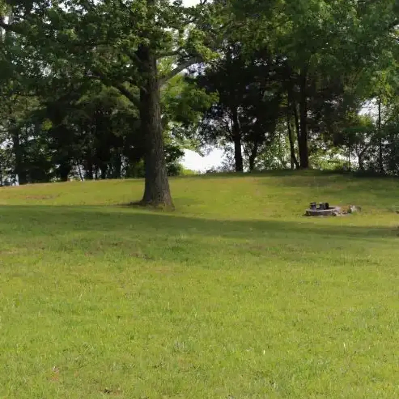 Grassy field with a tree and firepit under a sunny sky.