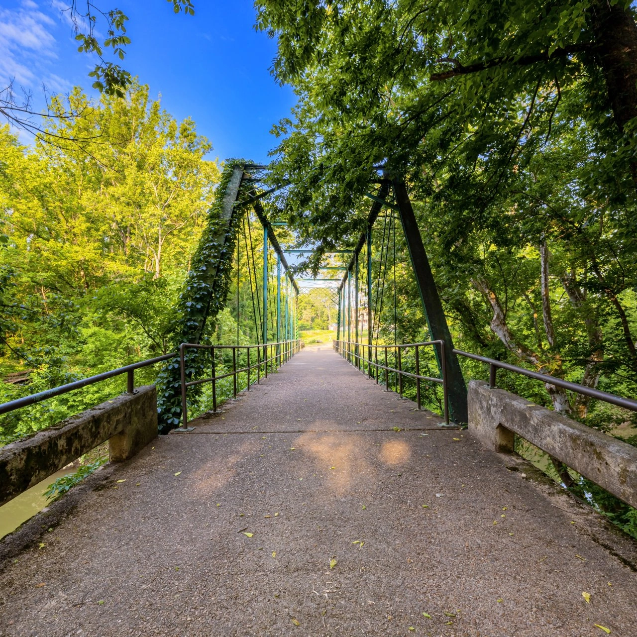 Footbridge with railings surrounded by lush green trees under a blue sky.