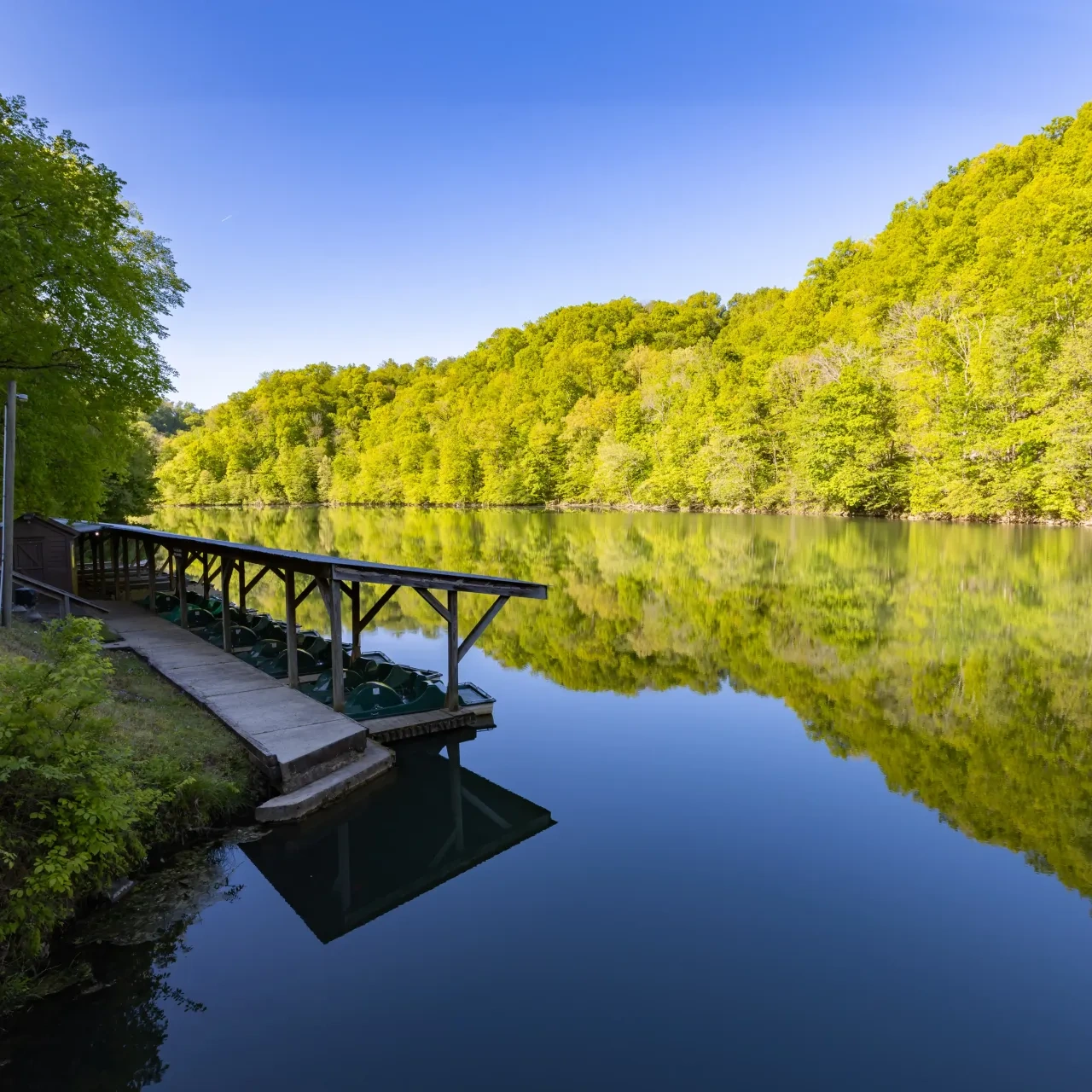 Dock with pedal boats on a calm lake, surrounded by lush green trees.