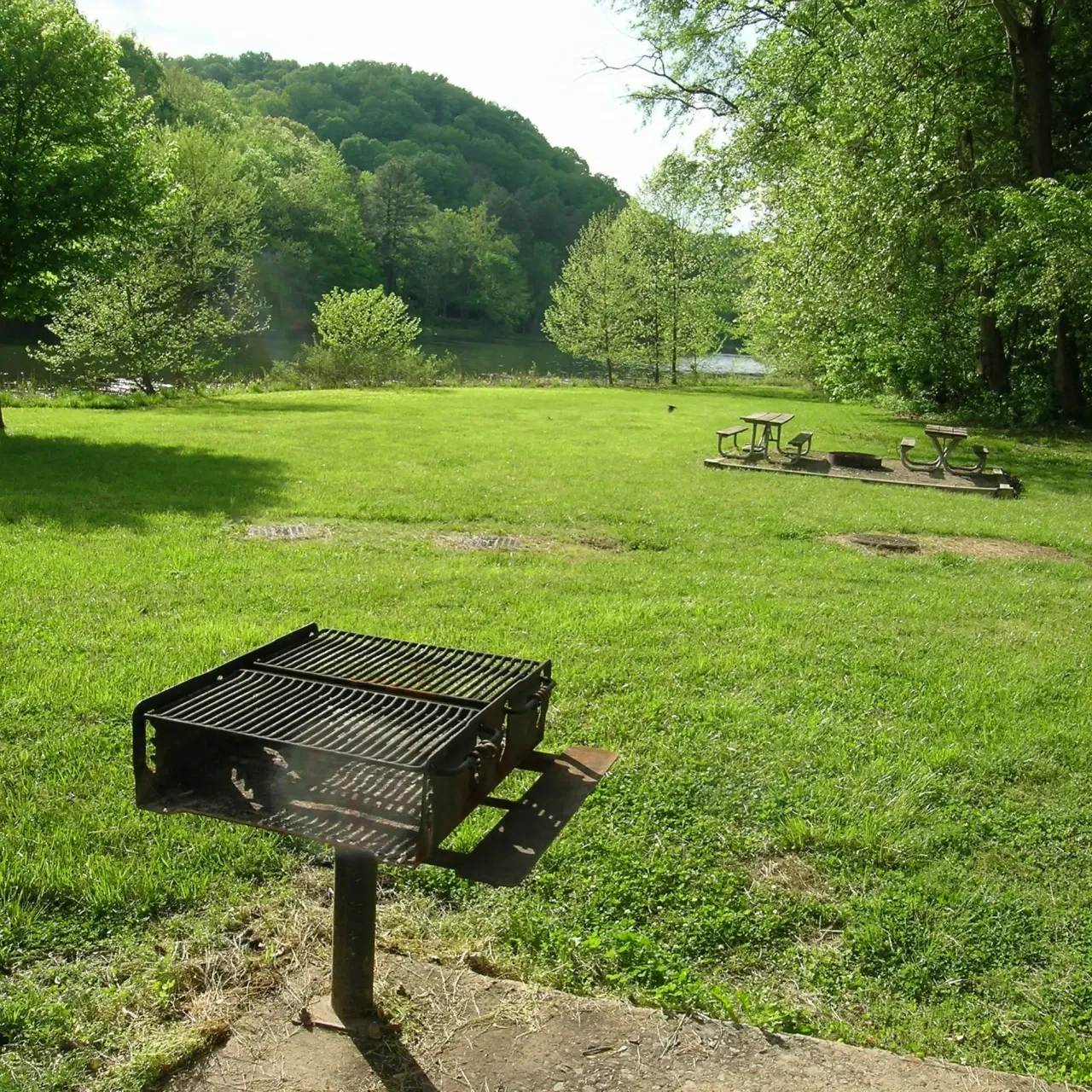Grassy park with a grill, trees, and distant lake.