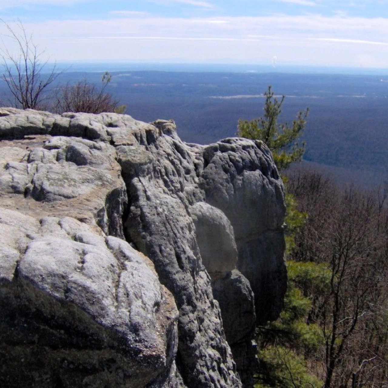 Rugged grey rock ledge overlooking a vast forested landscape under a clear blue sky; sparse trees cling to cliff edges, evoking a sense of tranquility.