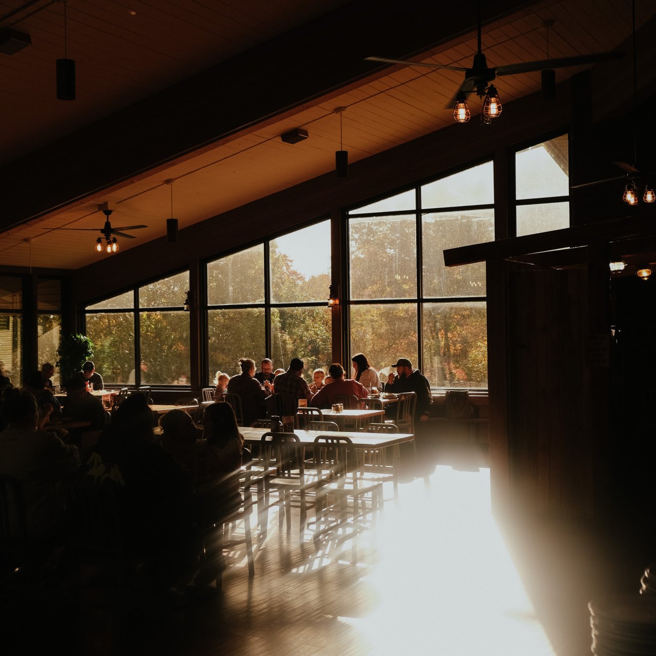 light streaming in from the back windows while families eat in the dining room of the restaurant