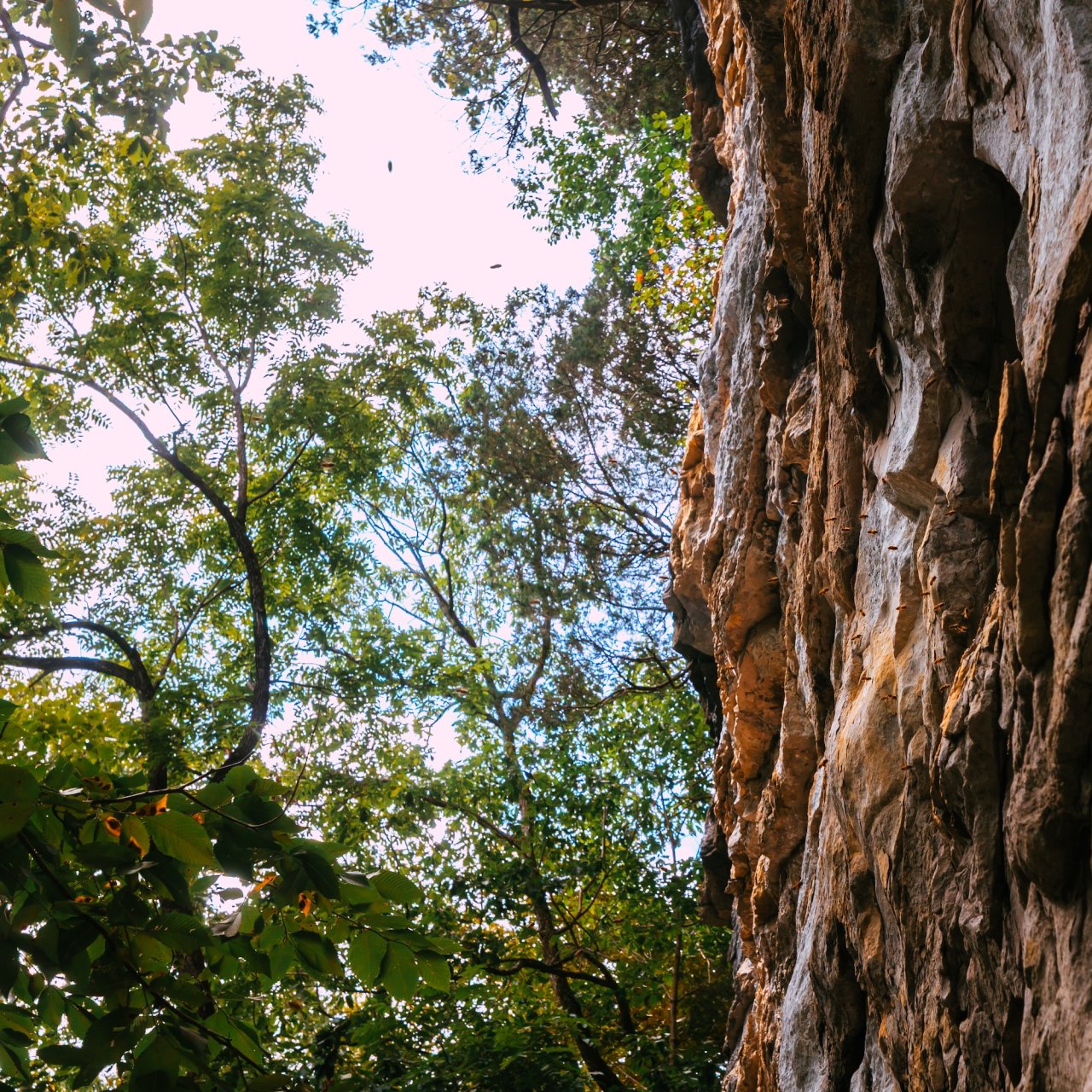 Cliffside view with rugged rock formations on the right and lush green trees on the left, contrasted against a clear blue sky, evoking tranquility.