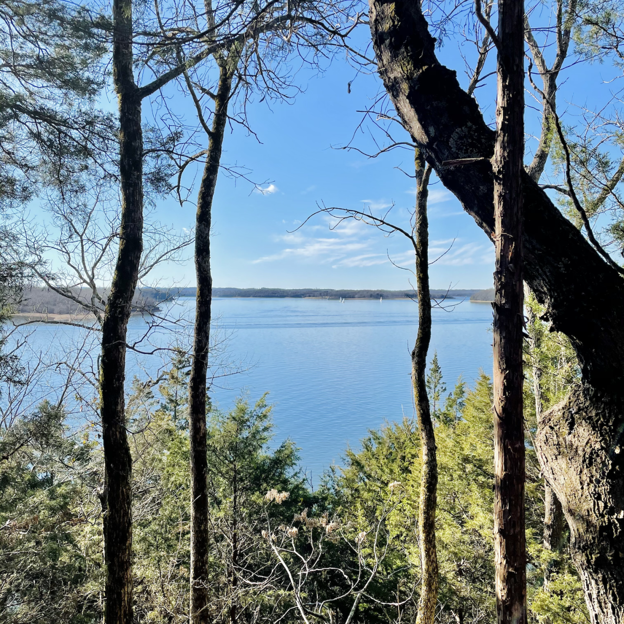 lake look out