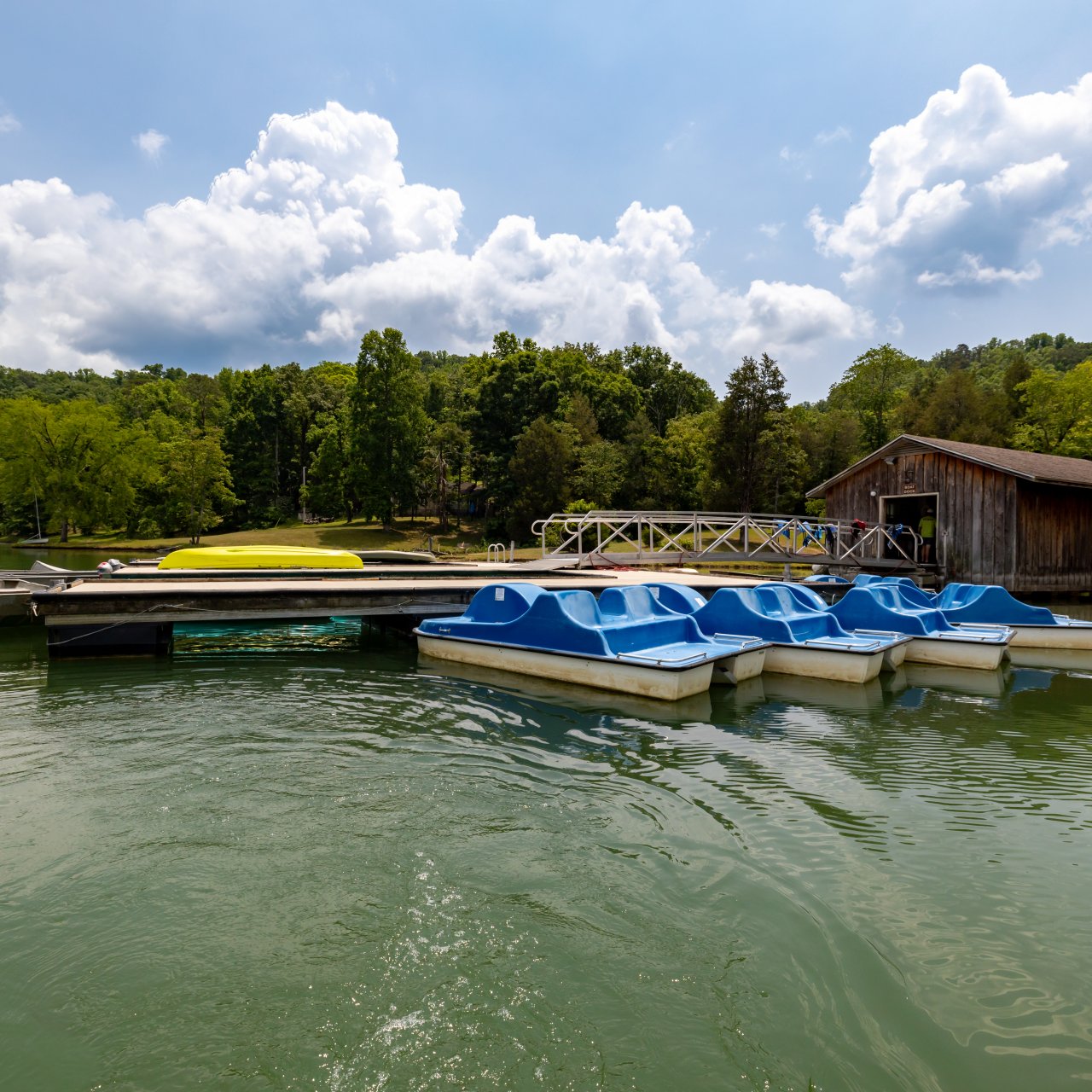 row boats