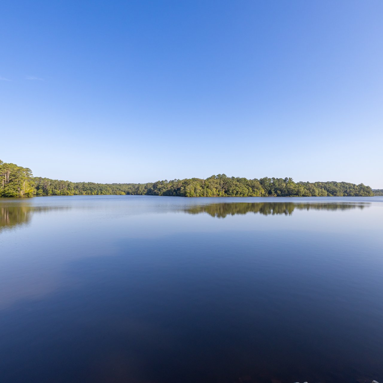 Calm lake under a clear blue sky, surrounded by dense green trees reflecting on the water. The scene conveys tranquility and natural beauty.