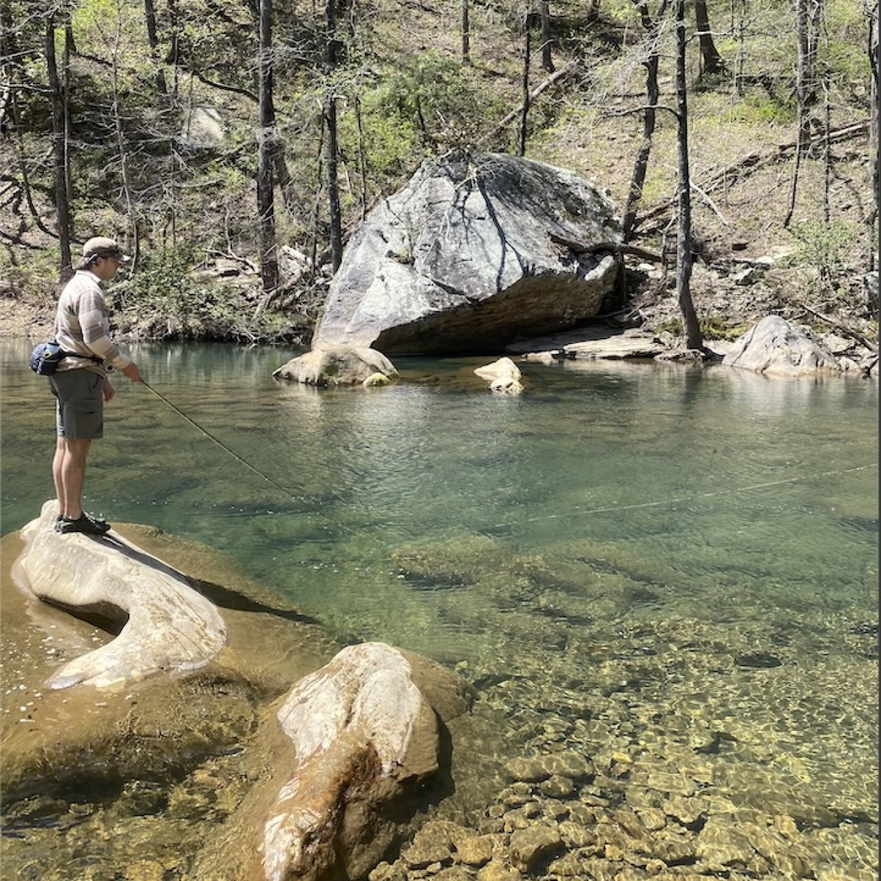 North Chickamauga Creek Gorge State Park has a handful of different creeks with a blue-green hue that tempts anyone who visits to swim the cold, clear waters. 