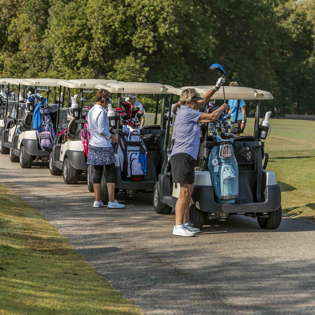 several golf carts lined up on a paved road by a tee area with a woman grabbing a club from her bag