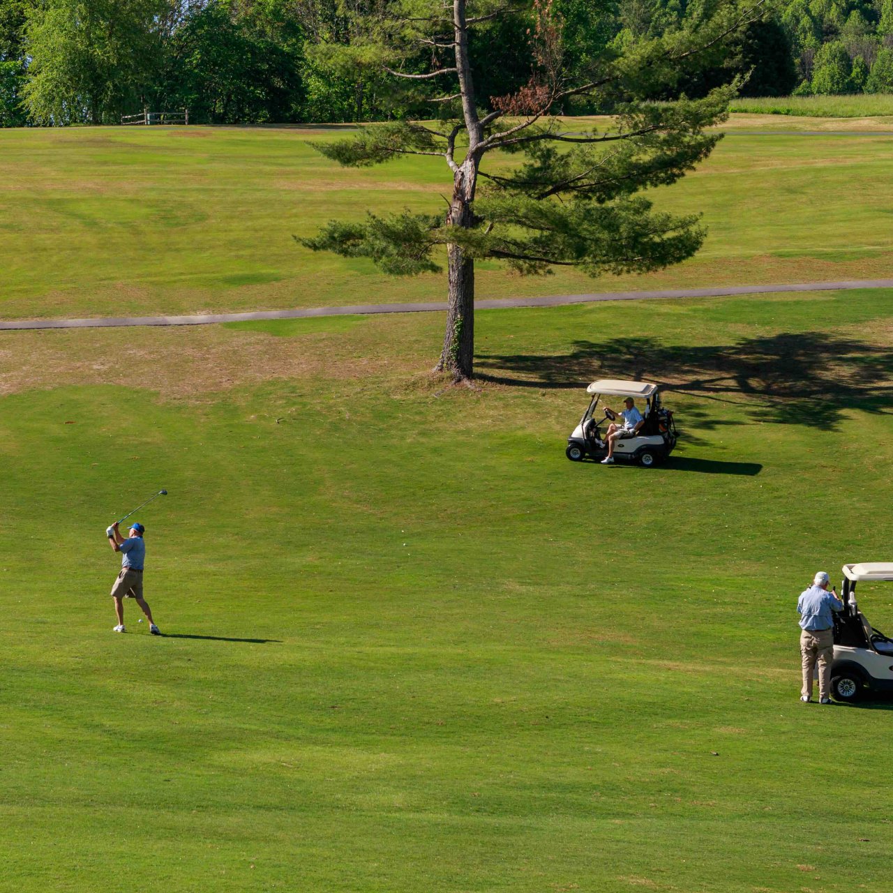 three people playing on golf fairway, two people near golf carts and one swinging a golf ball